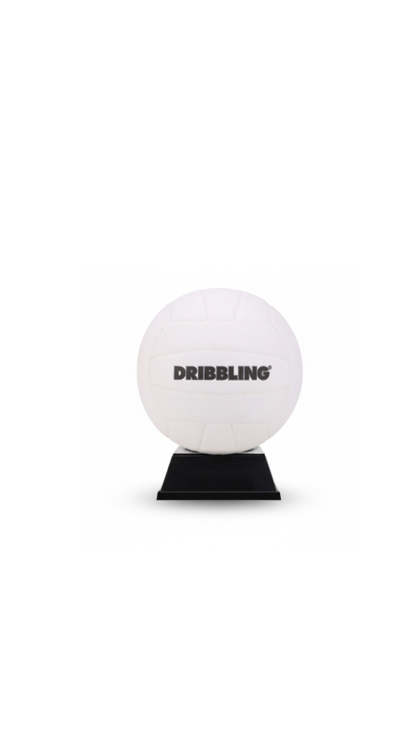 Pelota de Voley DRB "soft touch 3.0 pro"