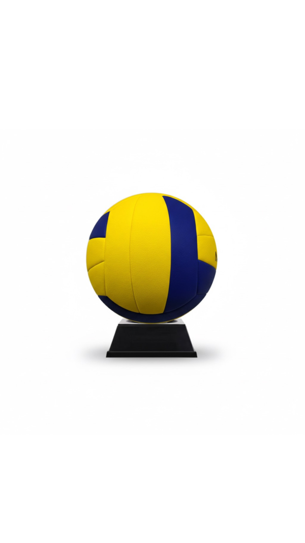 Pelota de Voley Munich "Softer"