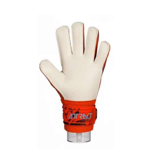 Guantes de Arquero Reusch "Attrakt Storm Gold"